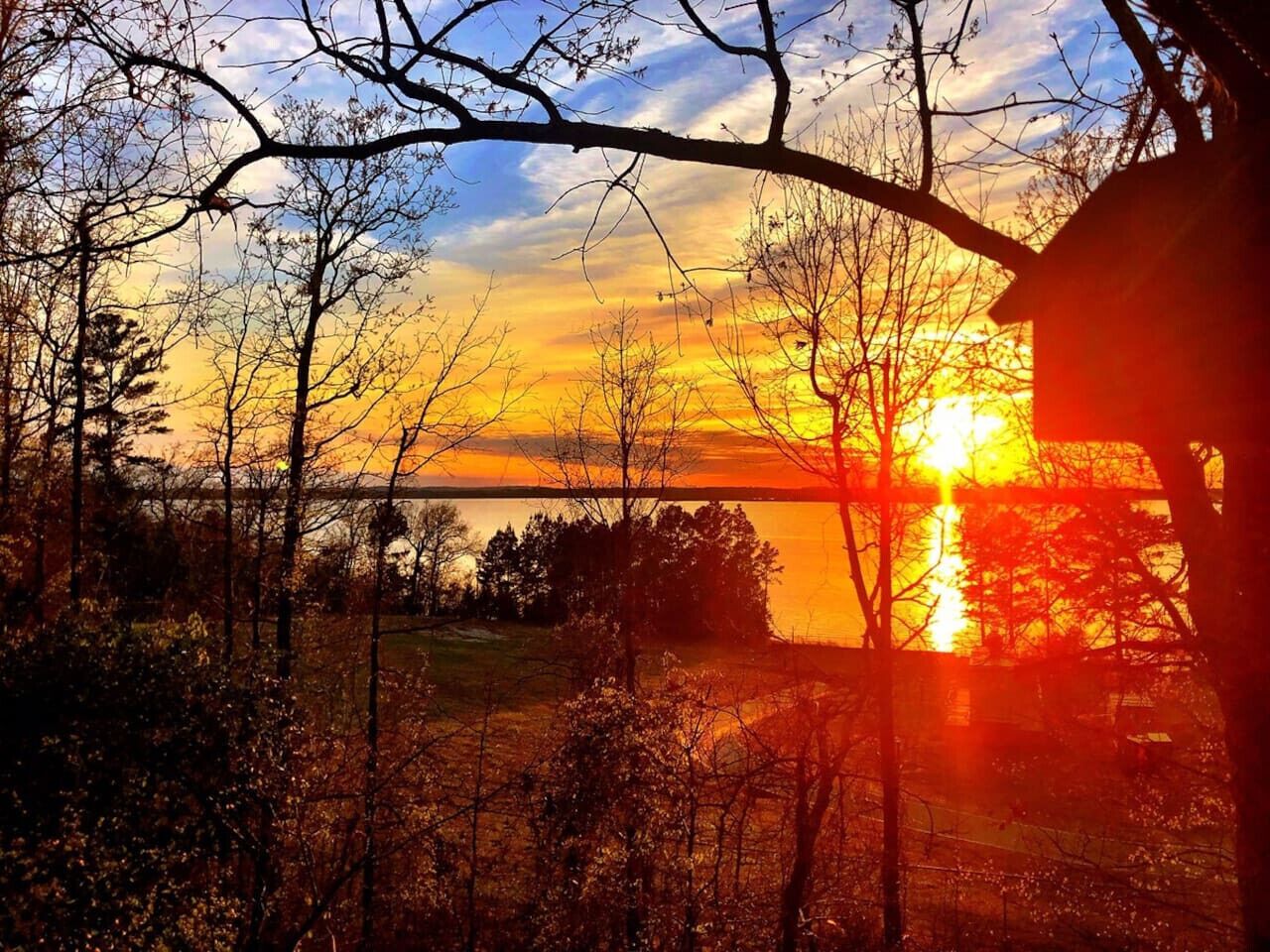 Un tramonto su un corpo d'acqua, sullo sfondo alberi e un ponte.