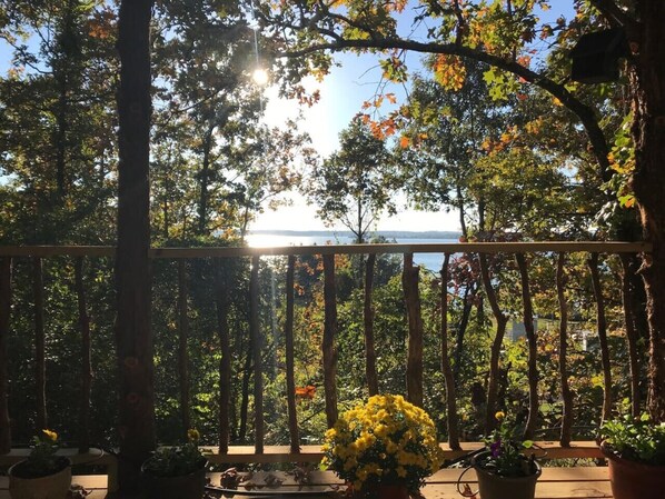 Property grounds - Relax & Rejuvenate at Romantic Enchanted Cottage (Flint)