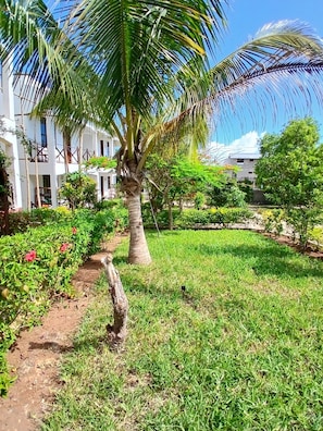 Jardim