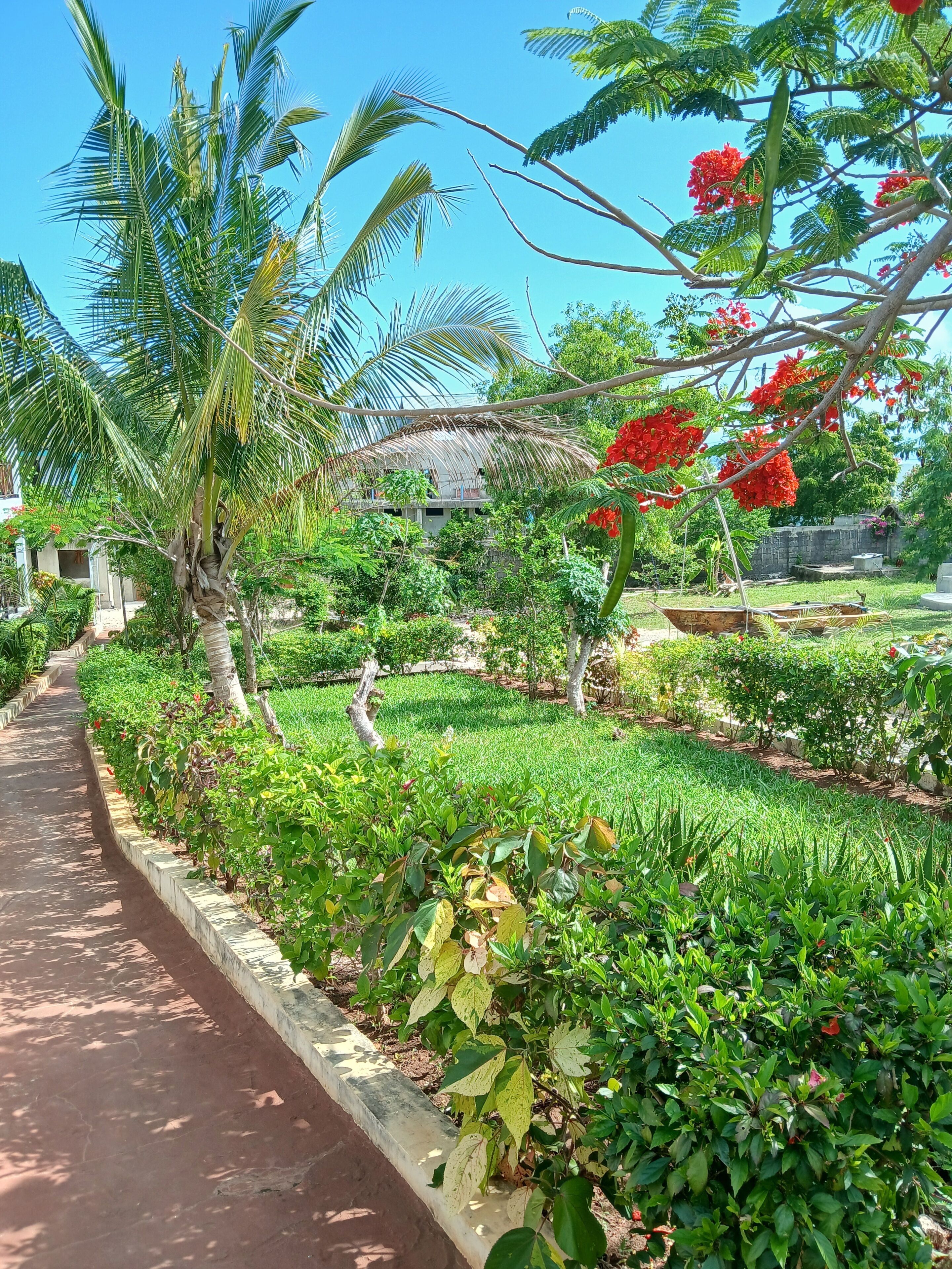 Jardim