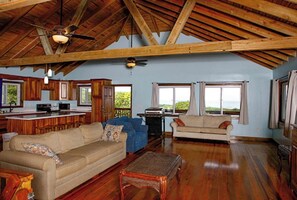 Smart TV, DVD player, books, video library