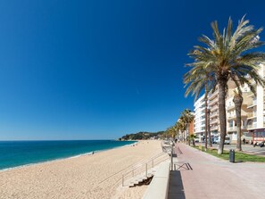 A beach with a clear blue sky, a sandy shore, and a row of palm trees.