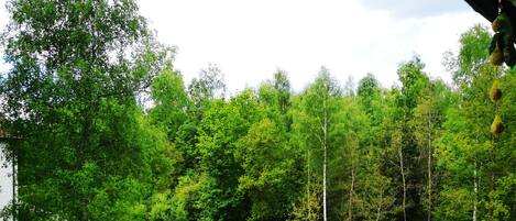 Terrain de lâhĂ©bergement