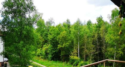 Apartment 'Villingen' with Balcony and Wi-Fi