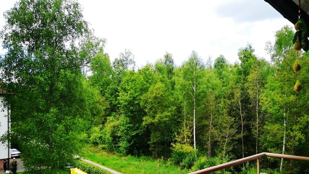 A balcony with a view of a lush green forest and a paved path. - Apartment 'Villingen' with Balcony and Wi-Fi (Villingen-Schwenningen)