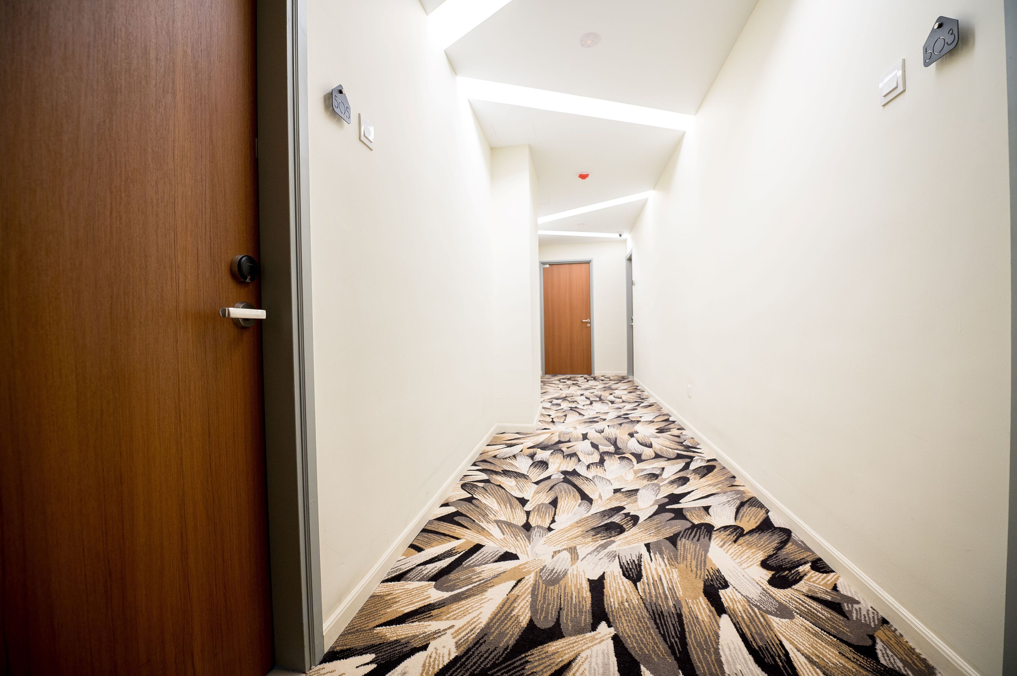 A hallway with a patterned carpet, a wooden door, and a light switch on the wall.