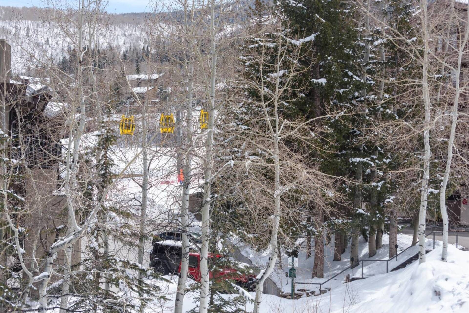 Un paysage enneigé avec des arbres sans feuilles et une route.