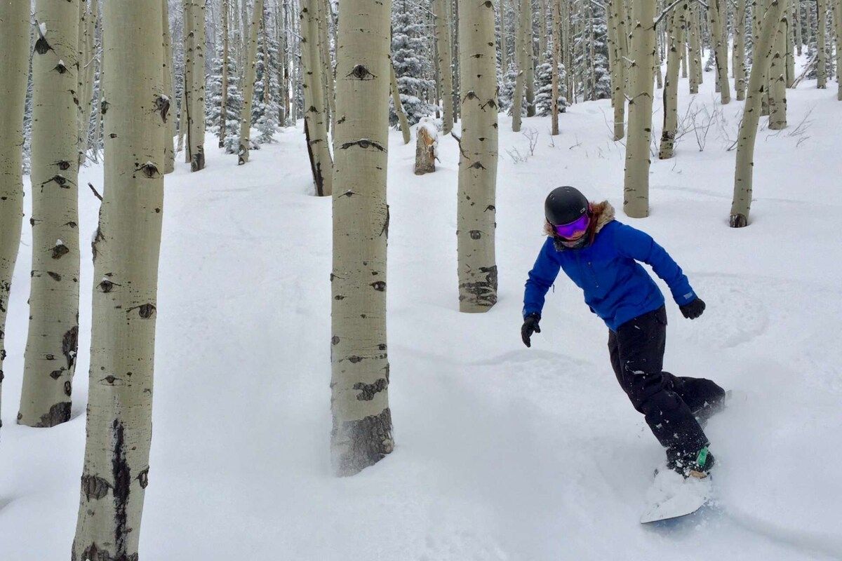 A person snowboarding in a snowy forest with birch trees.