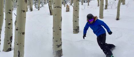 A person snowboarding in a snowy forest with birch trees.
