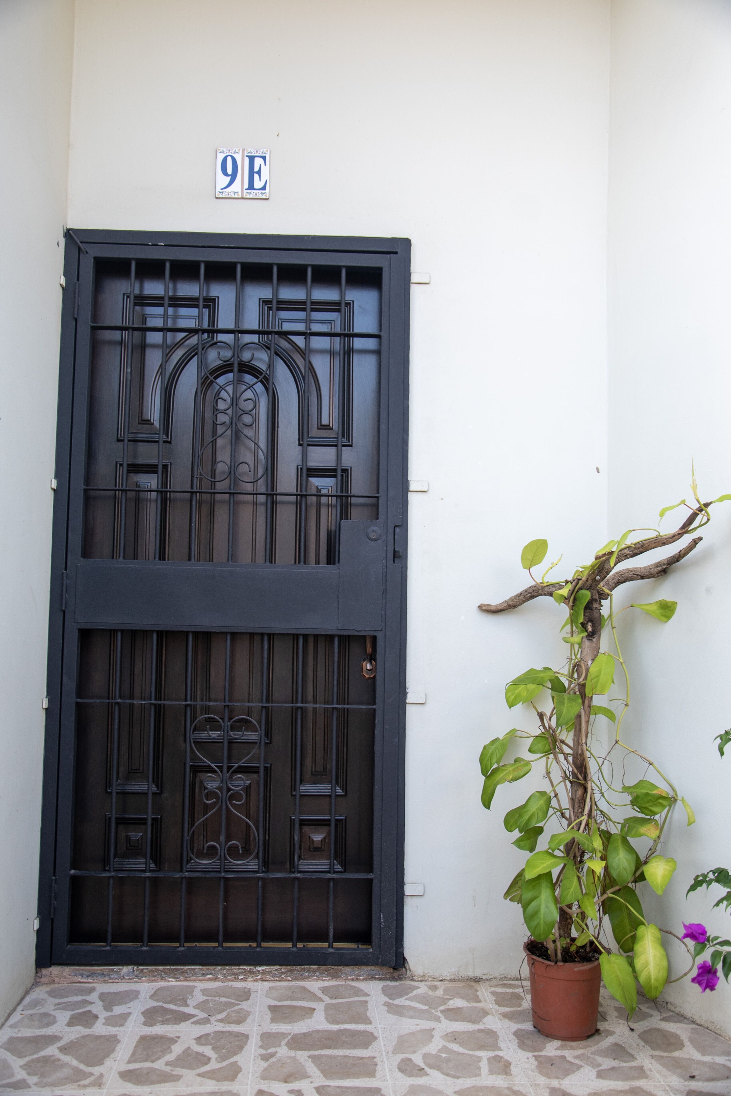 Photo - Las Carmelas, Airport Juan Santamaría, Alajuela, San José