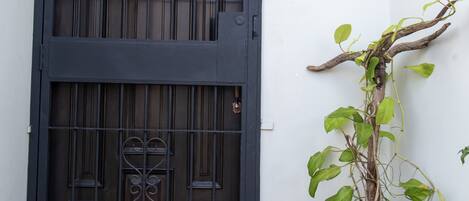Una reja de metal negro con un diseño decorativo, una planta en maceta con hojas verdes y una pared blanca con un letrero azul que dice "9E".