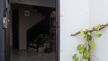 Ngoại thất