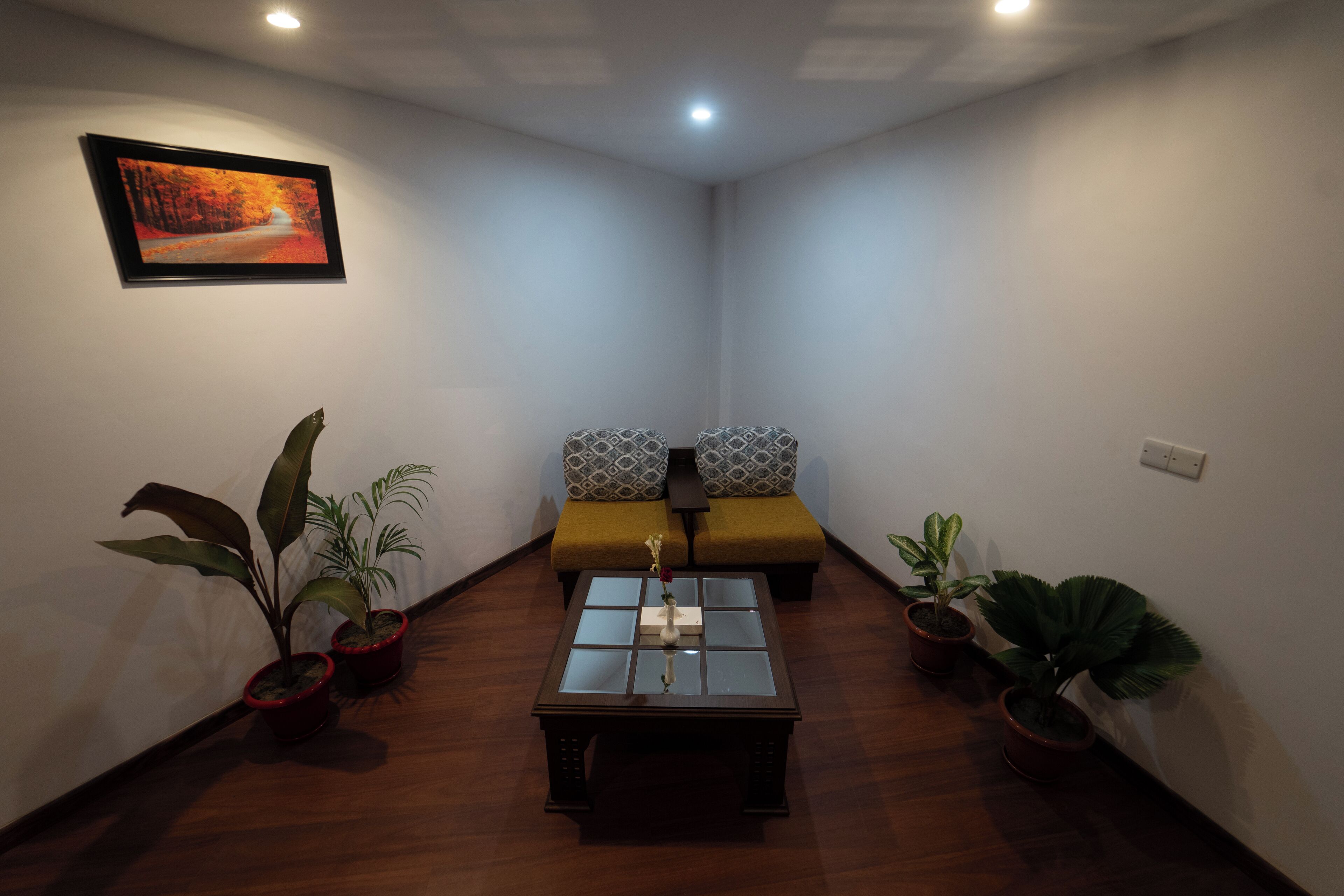 A room with a sofa, a coffee table, and potted plants.