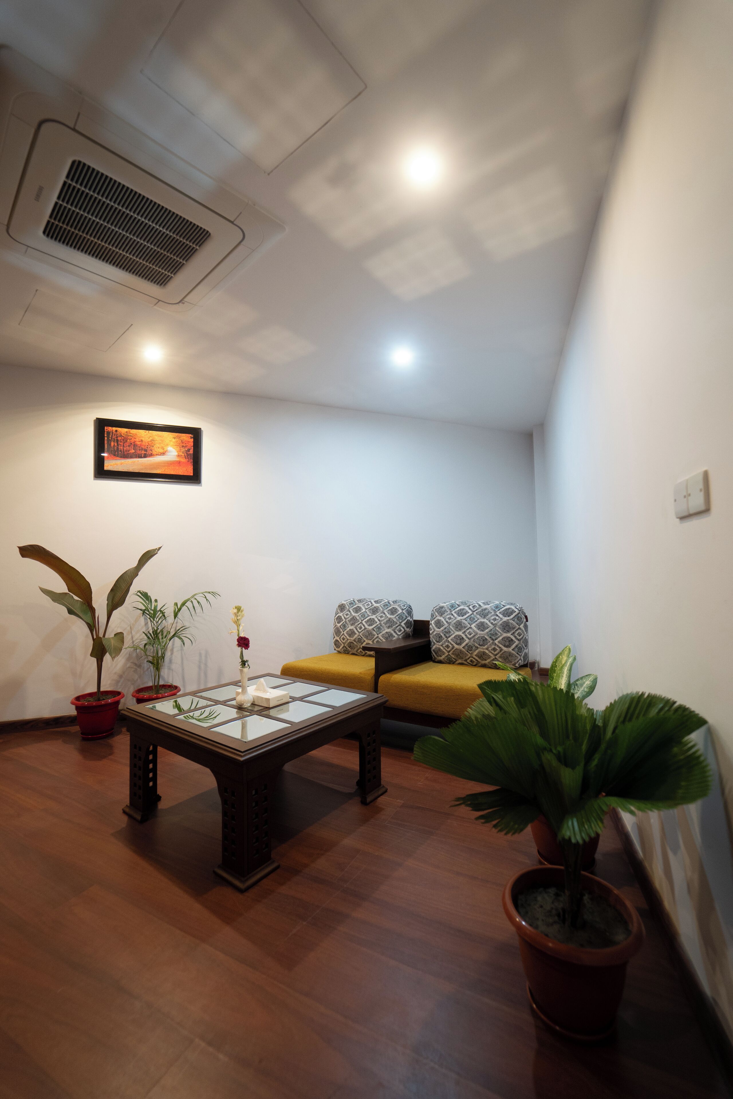 A small, cozy living room with a sofa, a coffee table, and potted plants.