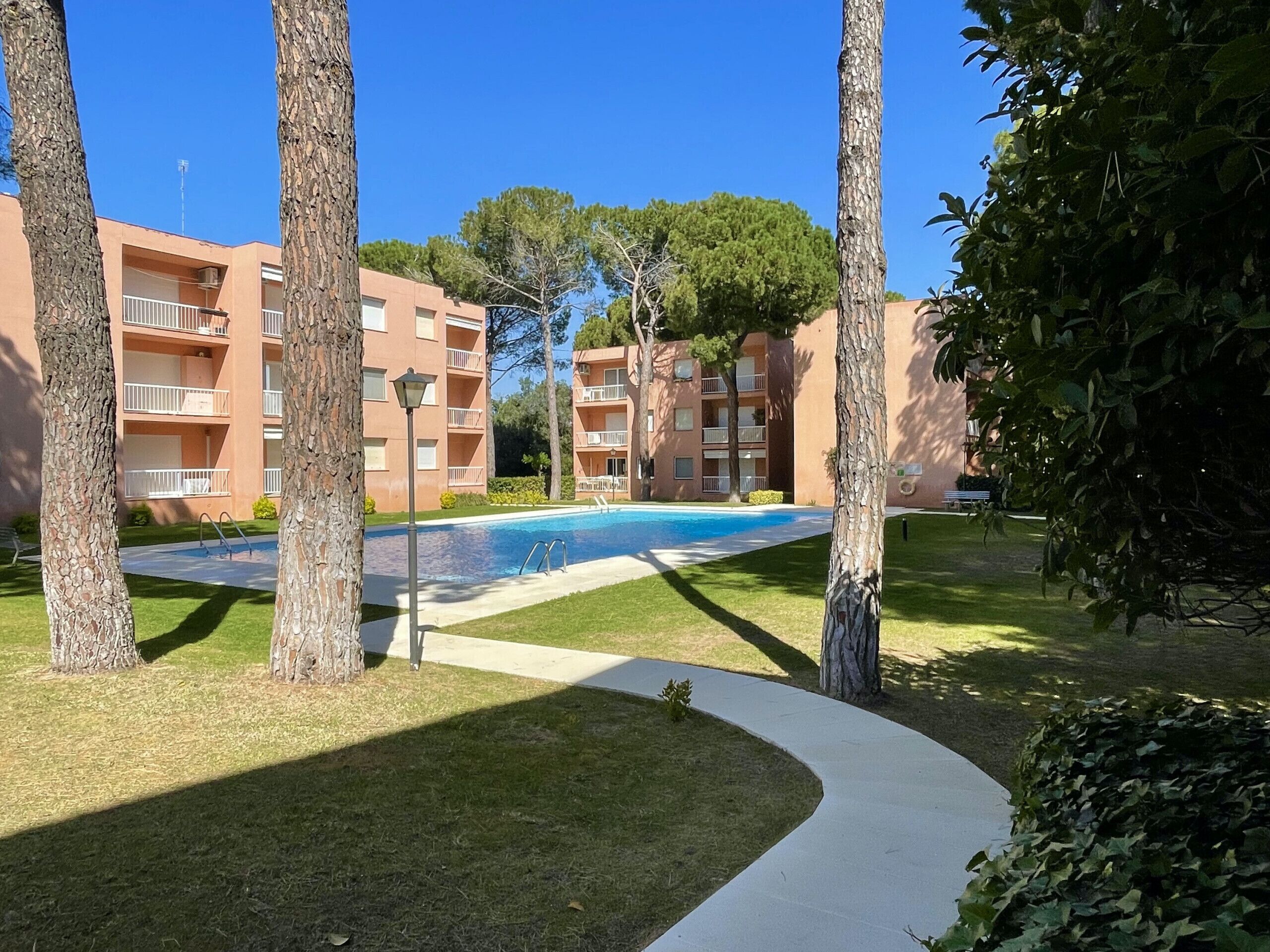 A pool area with a clear blue pool, surrounded by palm trees and a pathway leading to a building with balconies.