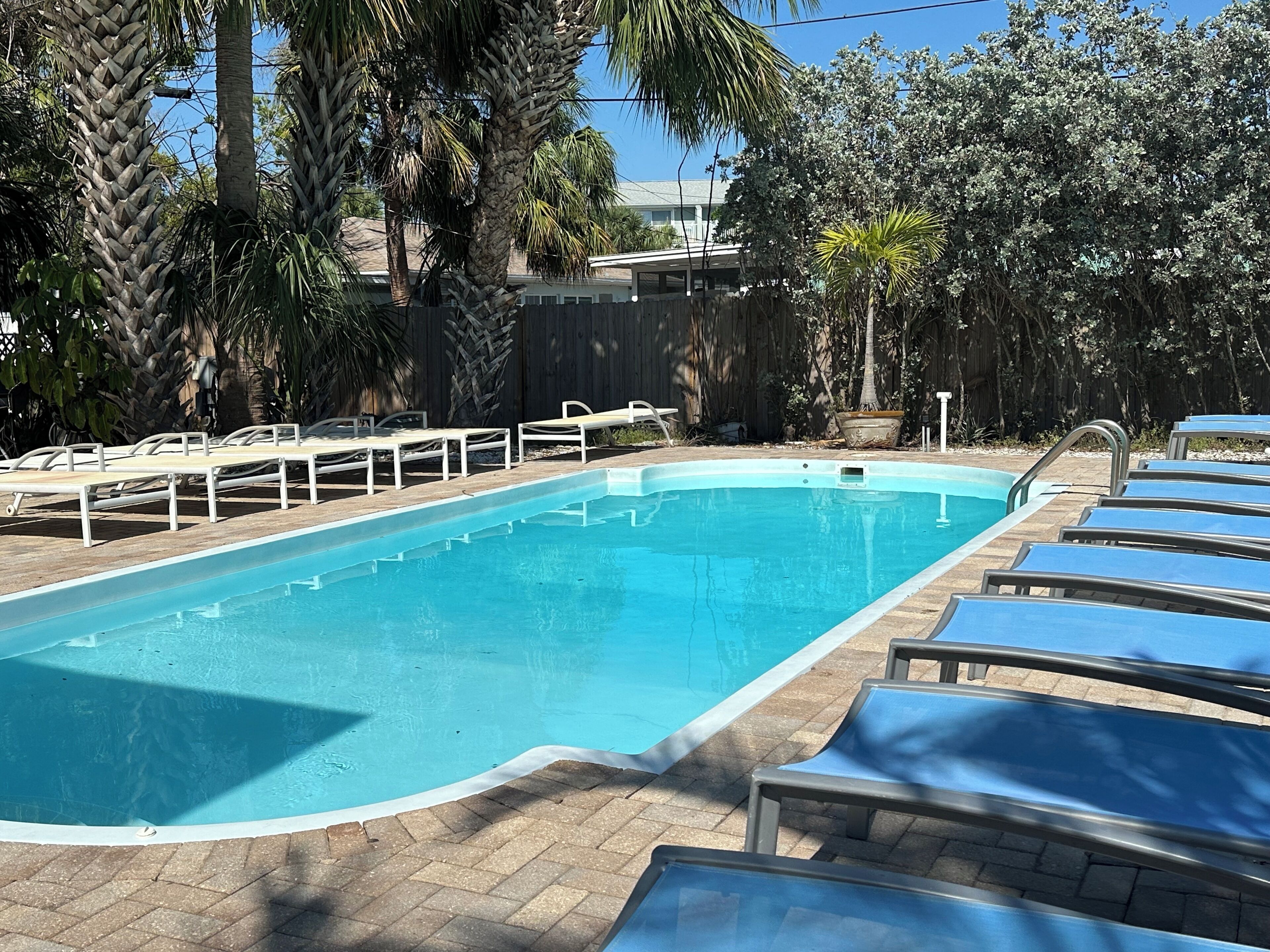Ein rechteckiger Pool mit gefliestem Rand, umgeben von Liegestühlen und Palmen.
