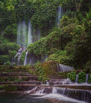 Vista da propriedade