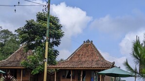 Unclassified image, 2 of 11, button - Le Desa Resort Syariah (Wonosobo)