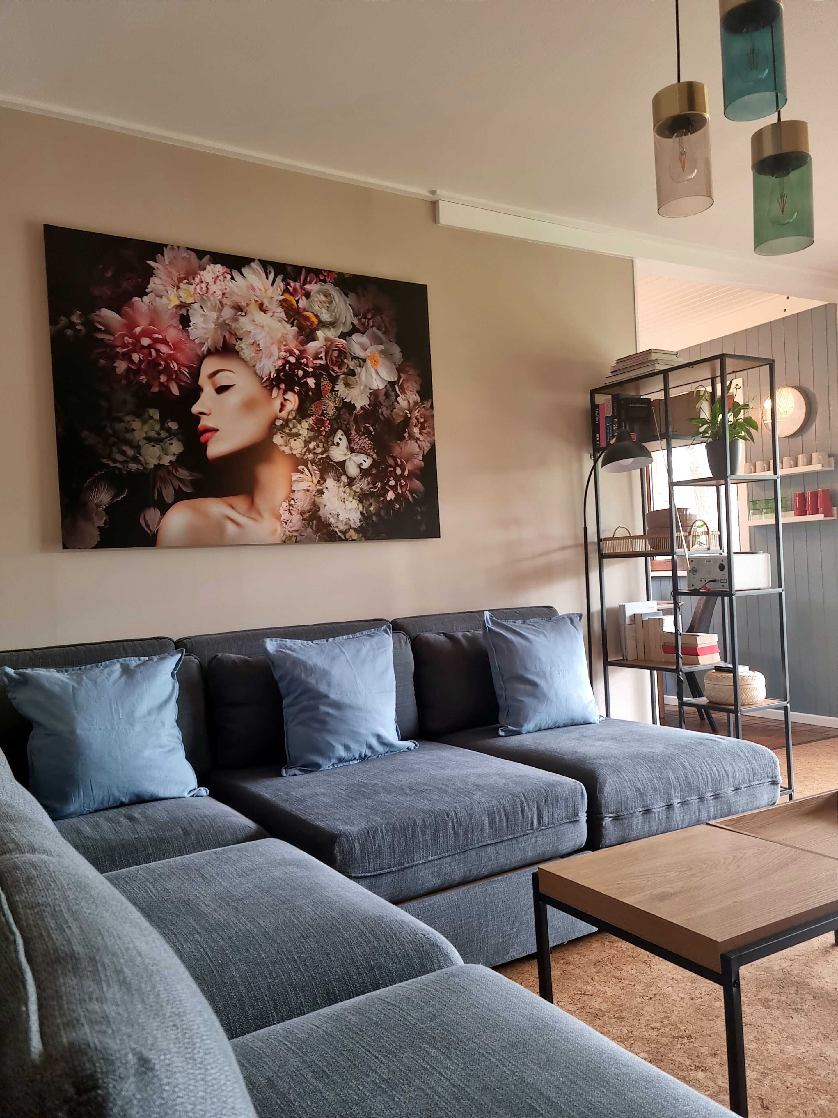 スマートテレビ、暖炉、書庫、ビデオライブラリ