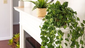 A white mantelpiece with a black oval mirror above it, flanked by two potted plants and a small decorative item. - The Laurel Pad -12-Min From SFO, Tastefully Designed, Work Station (San Mateo)