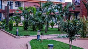 Àrea exterior de l'allotjament