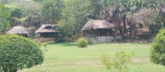 Room in Cabin - Cabanas Sierraverde Huasteca Potosina Highland Cabin