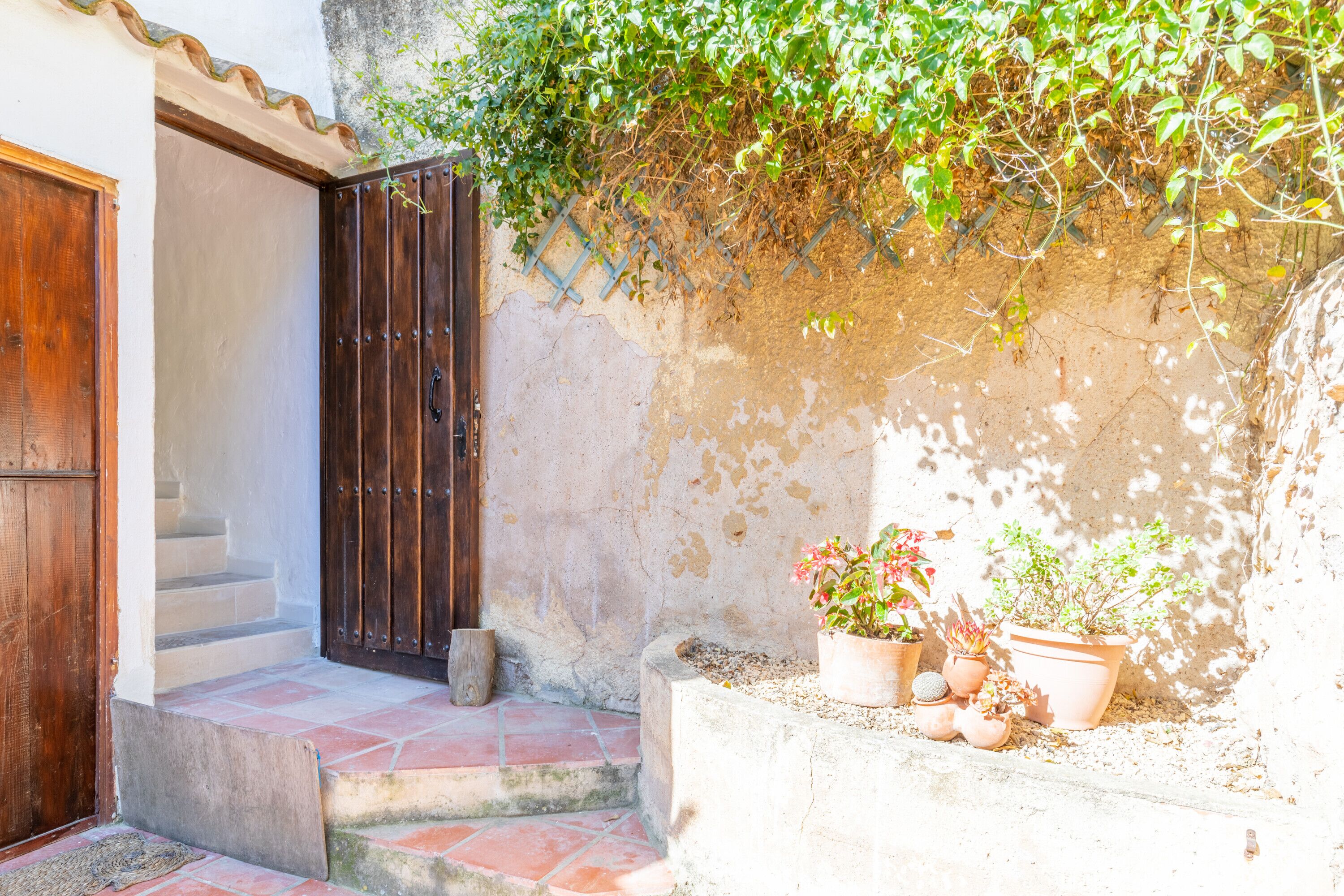 Detalle del exterior