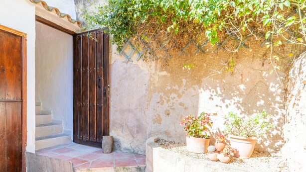 Une cour avec une porte en bois, un mur de pierre et des plantes en pot.