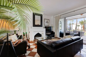 Télévision, cheminée, lecteur de DVD