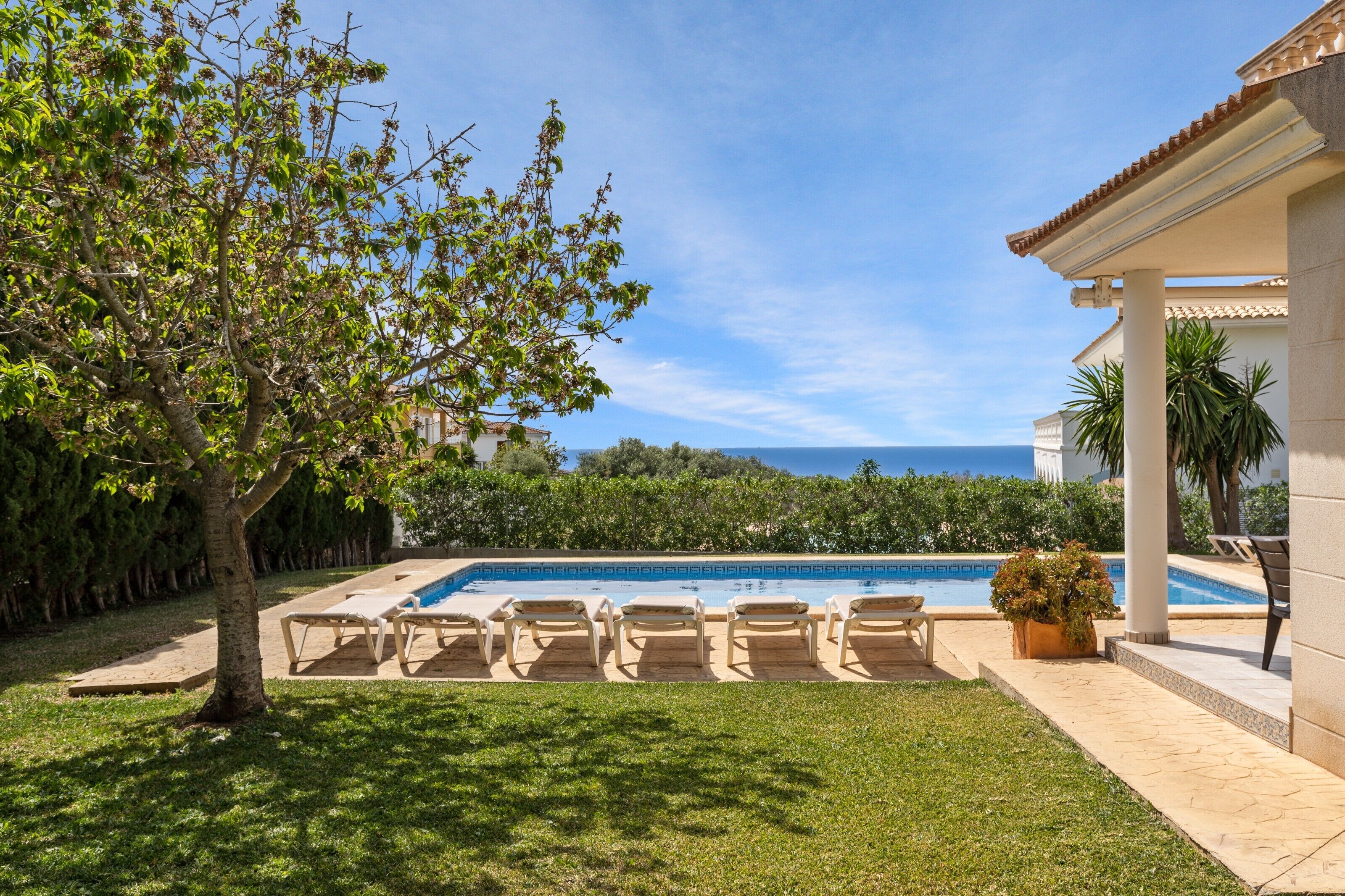 Ein Pool mit Liegestühlen, einem Baum und Blick aufs Meer.