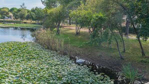 A tranquil pond surrounded by trees and a grassy area.