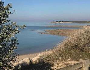 Ett kustlandskap med en sandstrand, stilla vatten och gles vegetation.