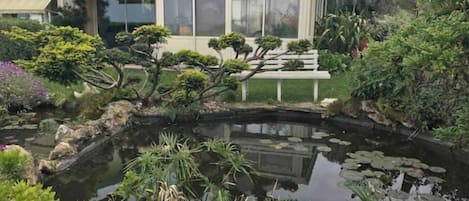 Une maison avec une véranda, un bassin avec des nénuphars, ainsi que divers arbustes et arbres.