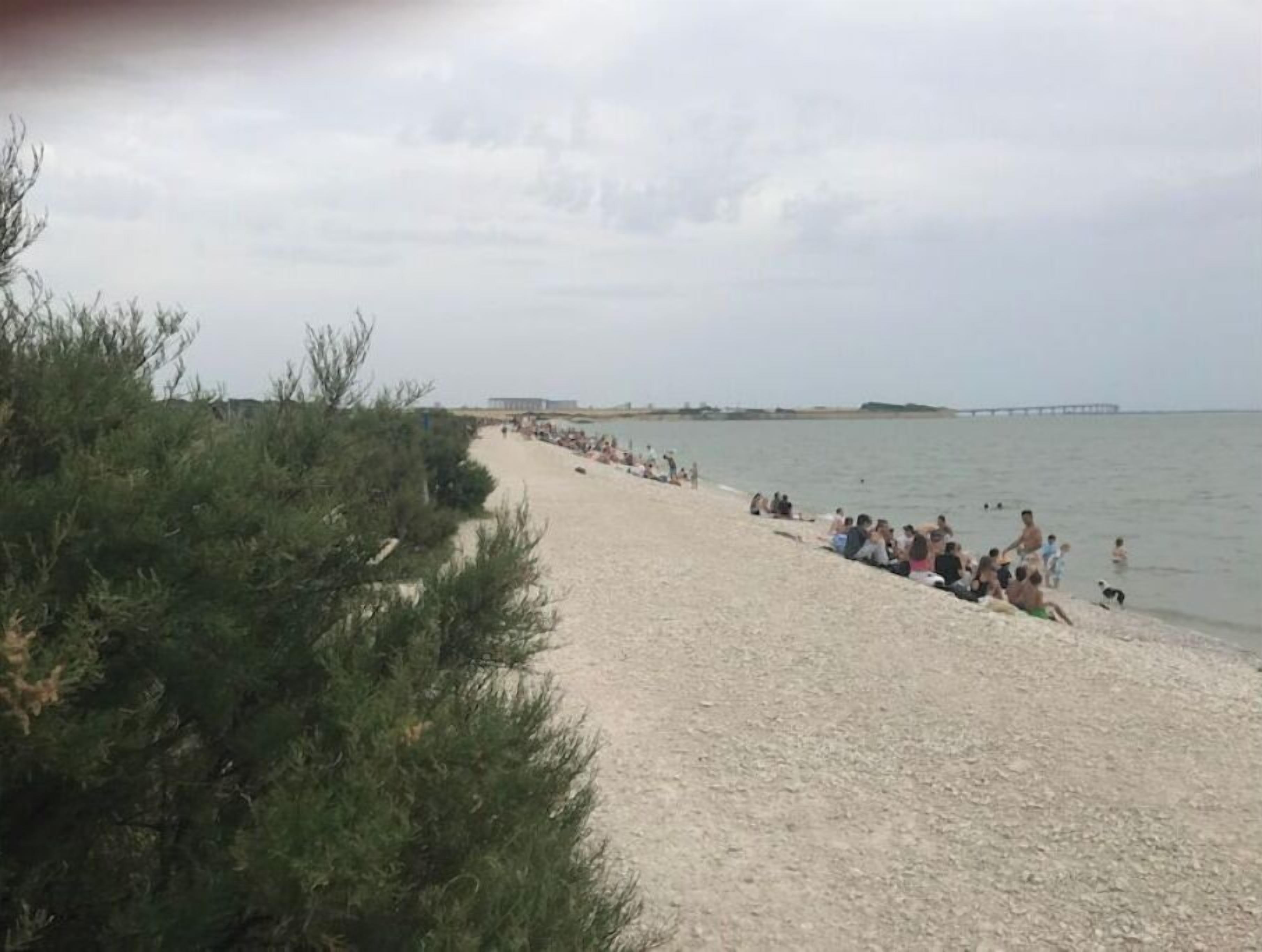 Een strand met mensen die zitten en wandelen langs de waterlijn.