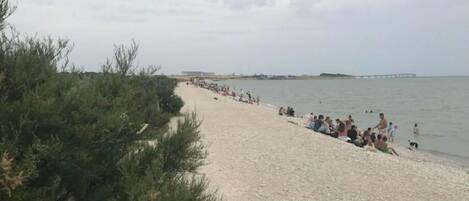 Een strand met mensen die zitten en wandelen langs de waterlijn.