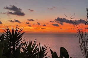 A sunset over a calm sea with silhouettes of plants in the foreground. - Villetta Grazia - 1 (Capoliveri)