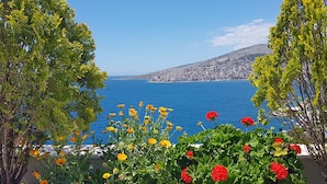 Blick auf die Küste mit blauem Meer, einer entfernten Stadtlandschaft und blühenden Pflanzen im Vordergrund.