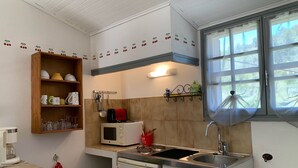 A compact kitchen with a microwave, sink, and wooden shelves. - Gîte Studio with Terrace in Venasque (Venasque)