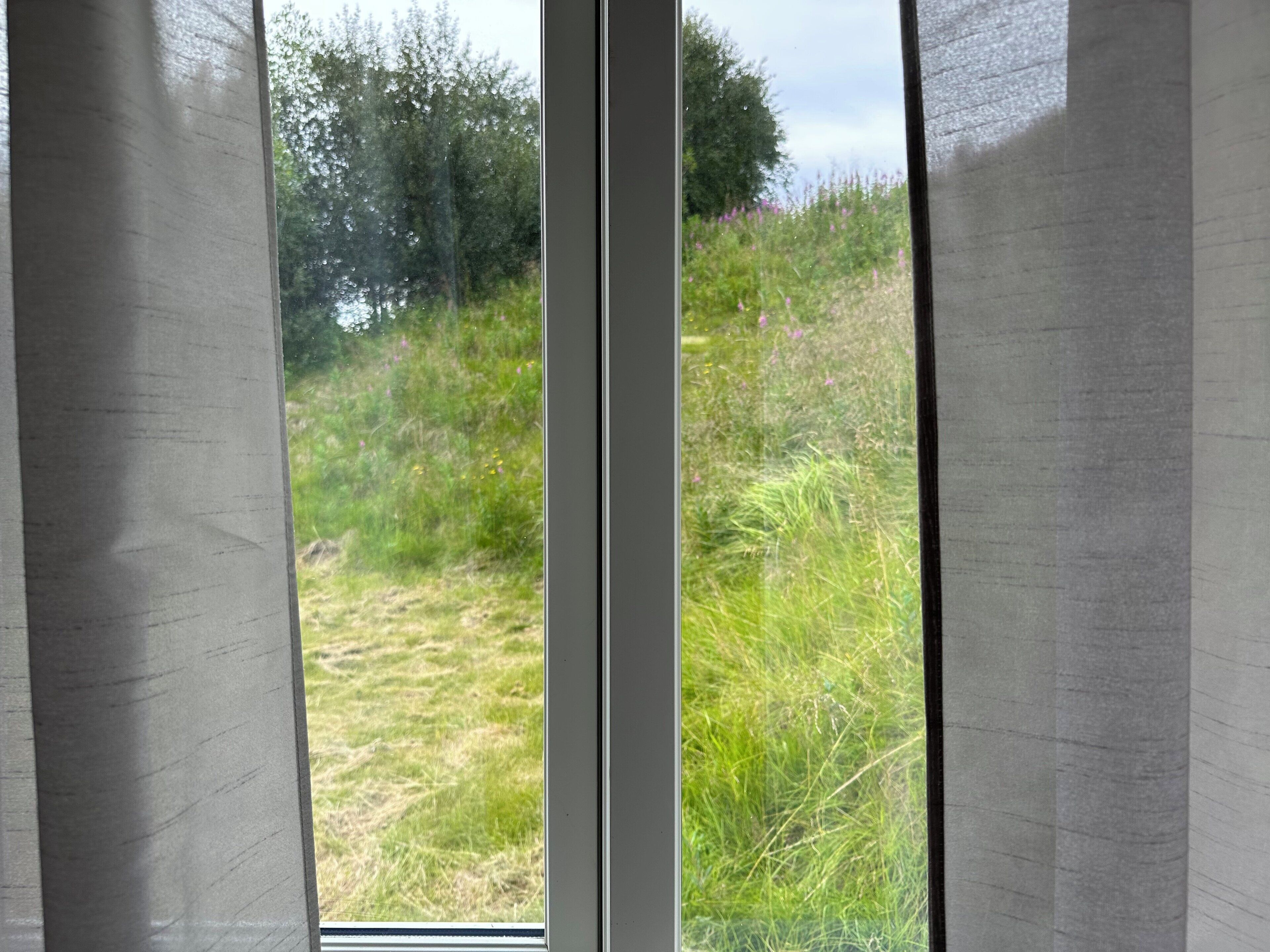 Vista a través de una ventana con cortinas, mostrando un área exterior con césped, árboles y flores silvestres.