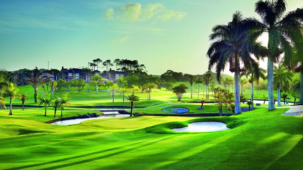 A golf course with well-manicured grass, sand bunkers, and palm trees.