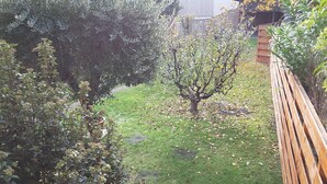 Blick auf einen Garten mit Holzzaun, Rasen und verschiedenen Sträuchern.