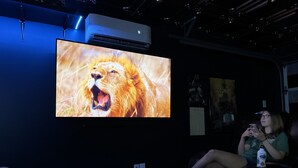 A room with a large flat-screen TV displaying a lion, a foosball table, and a person using a smartphone.