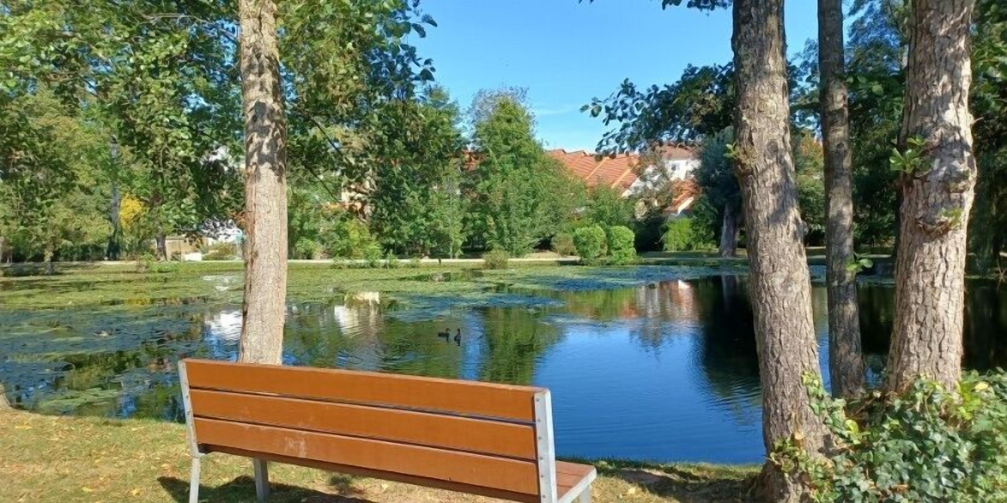 Un parc avec un étang, des arbres et un banc.