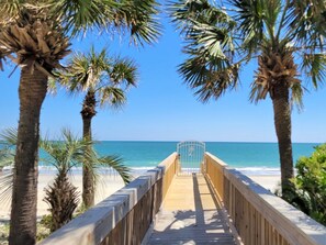 A wooden boardwalk leading to a beach with palm trees and a clear blue sky. - Egret View Private Home in Litchfield By The Sea (Pawleys Island)