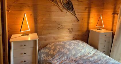 Chalet savoyard indépendant