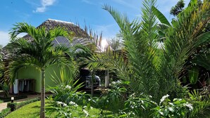 Un exuberante jardín con diversas plantas tropicales, una estructura de techo de paja y un coche estacionado.
