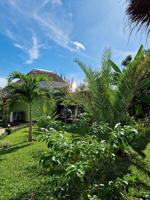 Property grounds - Dream villa Maisha Mazuri with staff (Kwale County)