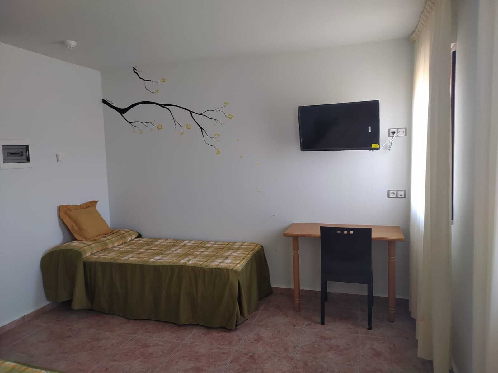 A small, sparsely furnished room with a bed, a desk, a wall-mounted TV, and a decorative branch decal.