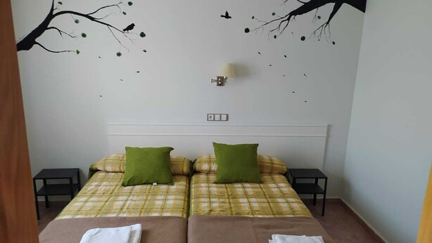 A hotel room with a bed, two pillows, two nightstands, and a wall decoration. - H&G LOZOYUELA (Lozoyuela-Navas-Sieteiglesias)