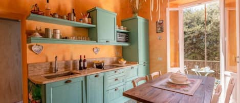 Frigorífic, rentaplats i utensilis de cuina, vaixella i coberteria